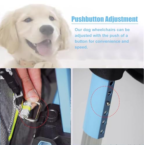 Adjustable Dog Wheelchair for Front Leg Support, Lightweight Aluminum Alloy Pet Cart with EVA Wheels, Assist Injured or Paralyzed Dogs in Rehabilitation and Mobility Training