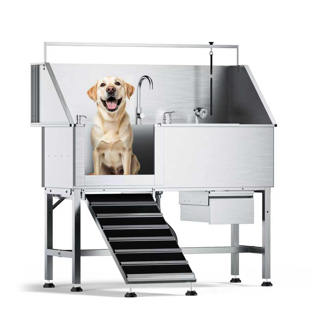 56" Dog Washing Station, 304 Stainless Steel, 600 lb, Side Ramp