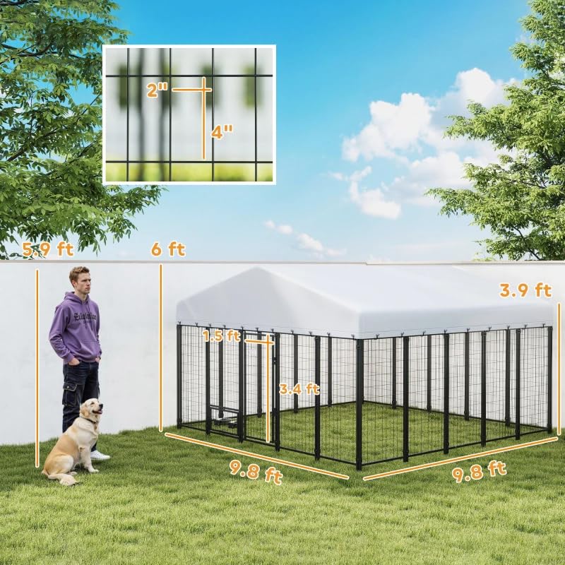 Spacious Dog Kennel,Outdoor Pet Kennel
