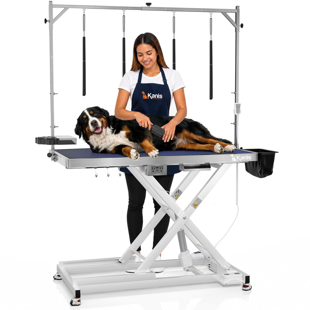 49" Professional Electric Dog Grooming Table, 304 Steel, Heavy Duty