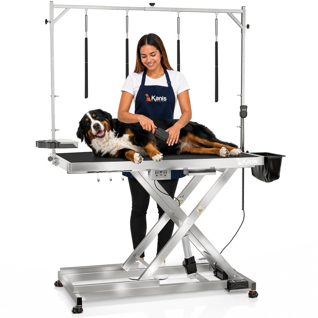 49" Professional Electric Dog Grooming Table, 304 Steel, Heavy Duty