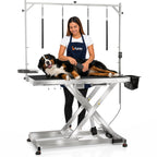 49" Professional Electric Dog Grooming Table, 304 Steel, Heavy Duty