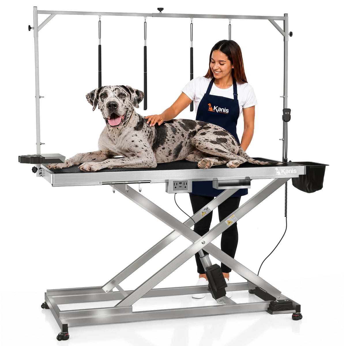 49" Professional Electric Dog Grooming Table, 304 Steel, Heavy Duty