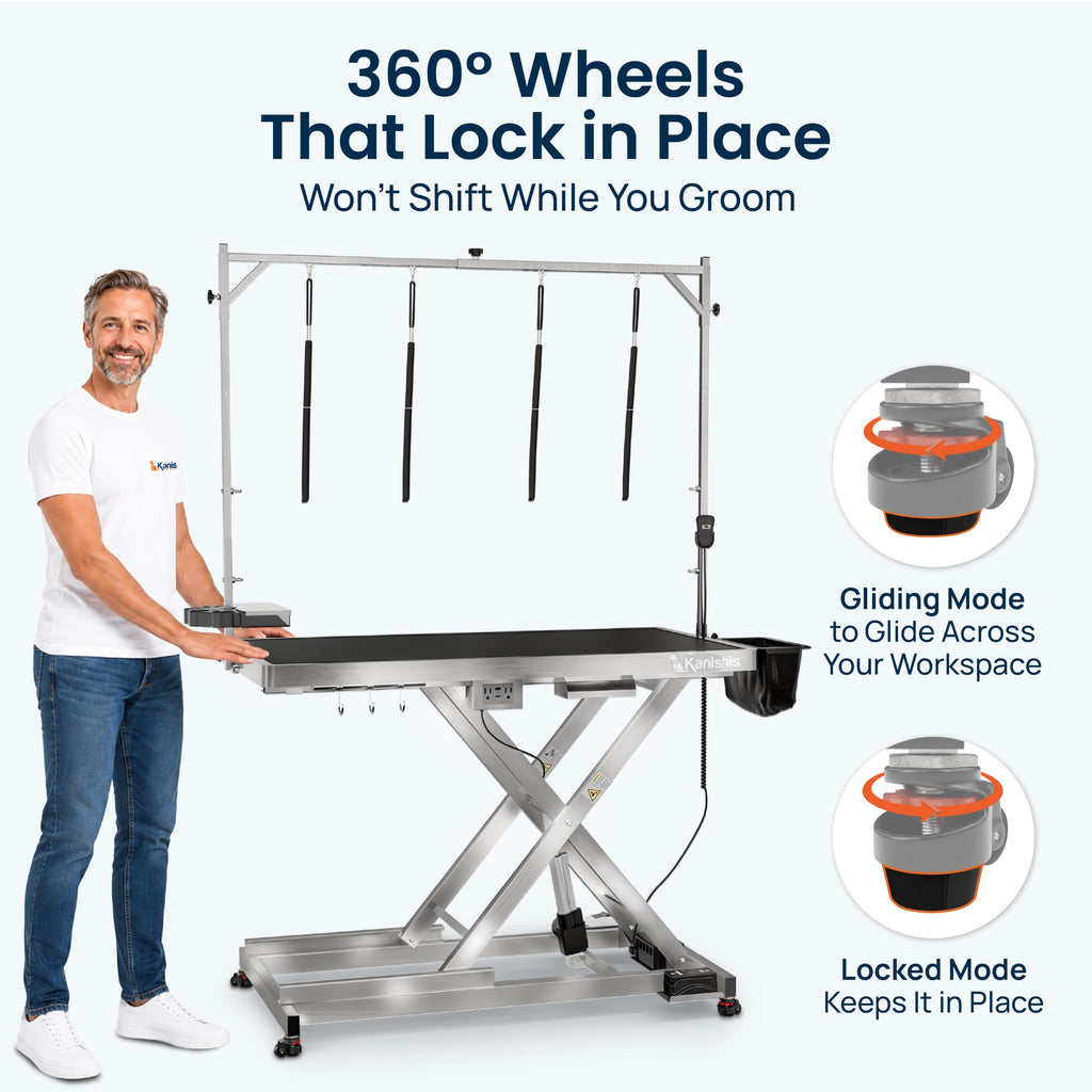 49" Professional Electric Dog Grooming Table, 304 Steel, Heavy Duty
