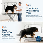 49" Professional Electric Dog Grooming Table, 304 Steel, Heavy Duty