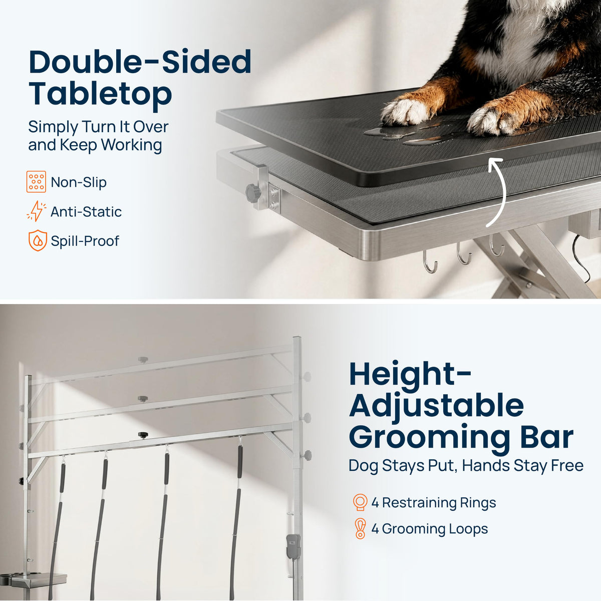 49" Professional Electric Dog Grooming Table, 304 Steel, Heavy Duty