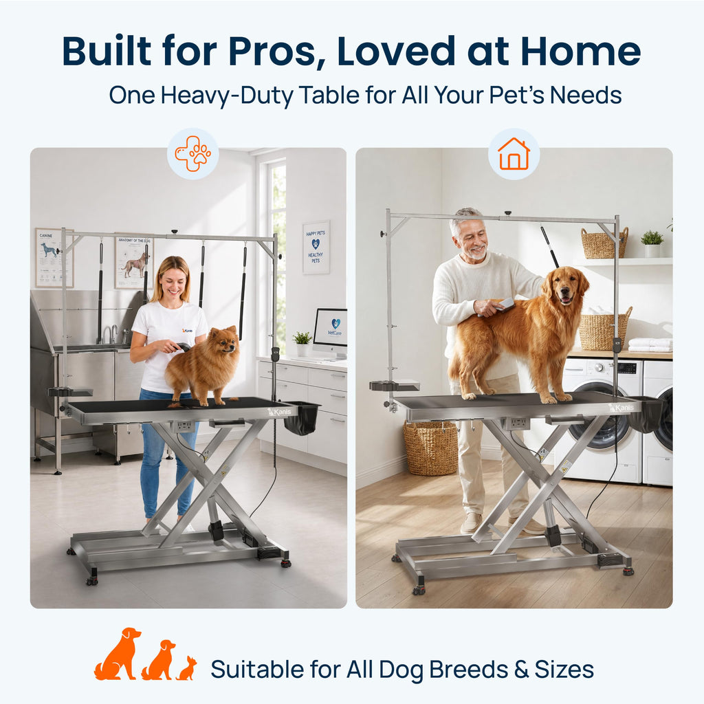49" Professional Electric Dog Grooming Table, 304 Steel, Heavy Duty