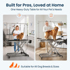 49" Professional Electric Dog Grooming Table, 304 Steel, Heavy Duty