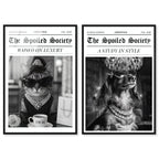 Art Remedy Dog Glam Cover Framed Acrylic Print Fashion Wall Art, Black Frame, 30 x 45, Set of 2